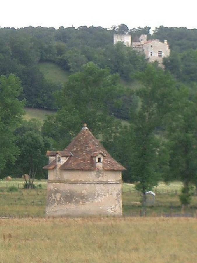 Hotel Le Relais Du Chateau Grignols  Luaran gambar