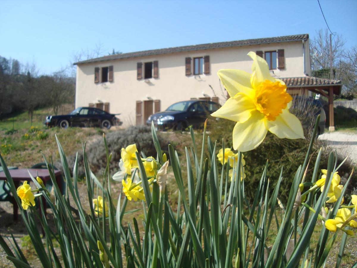 Hotel Le Relais Du Chateau Grignols  Luaran gambar