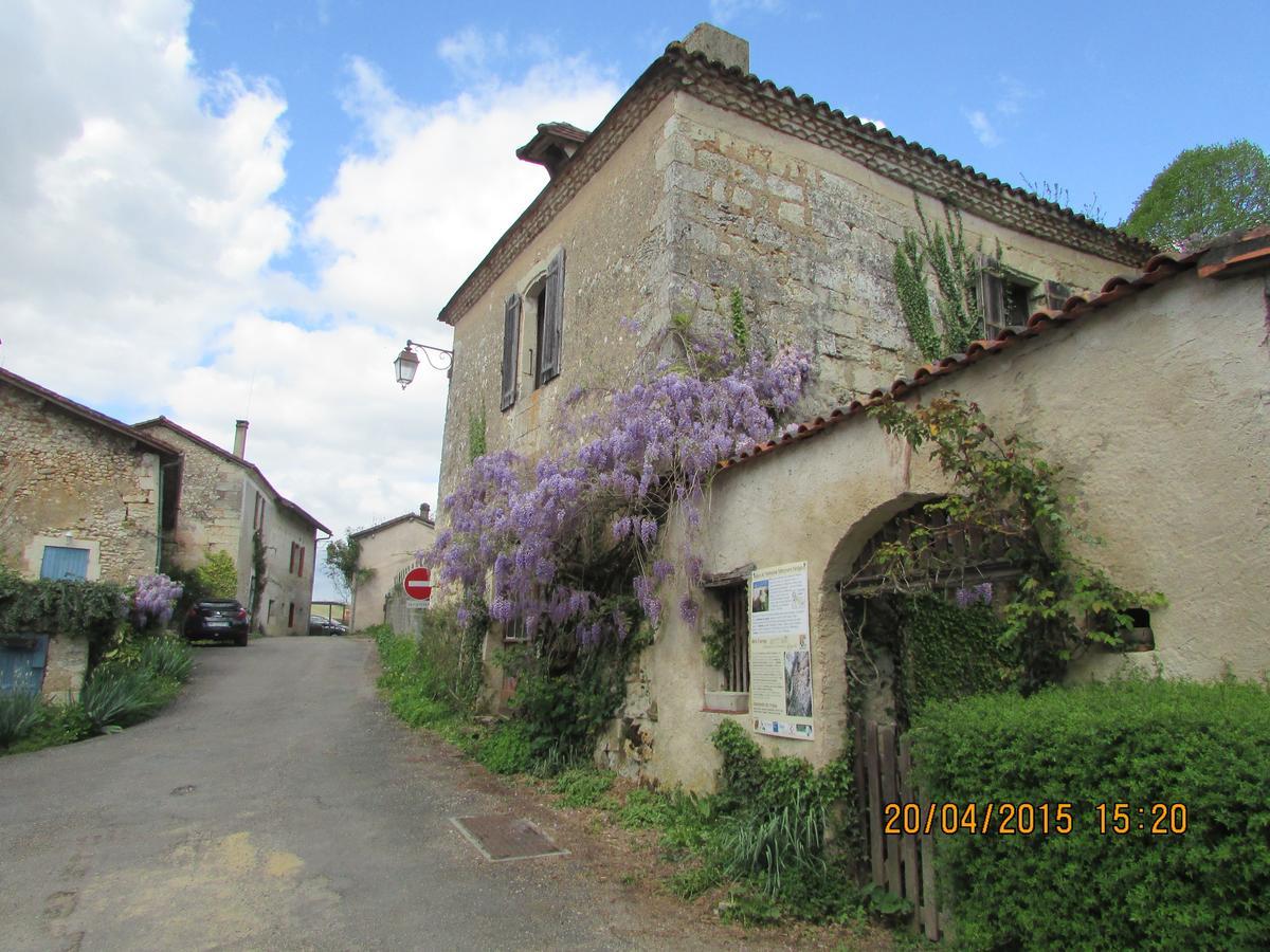 Hotel Le Relais Du Chateau Grignols  Luaran gambar
