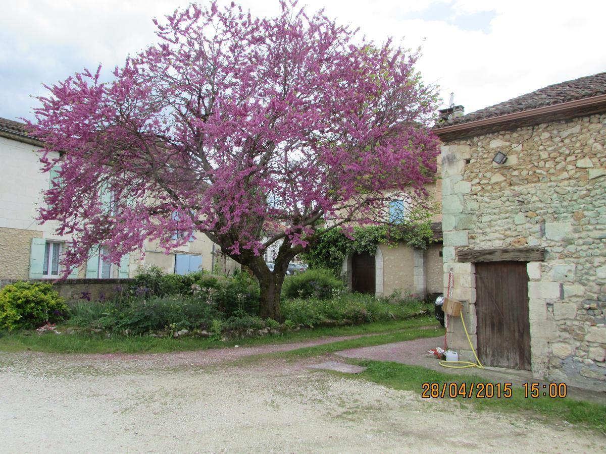 Hotel Le Relais Du Chateau Grignols  Luaran gambar